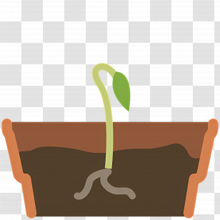 Seed Germination - Seedling Growing In Soil Transparent PNG