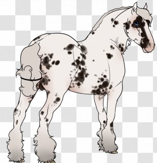 Mule Foal Mustang Stallion Colt - Horse Tack Transparent PNG