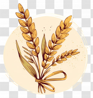 Sheaf Of Grain - Golden Wheat Bundle Transparent PNG