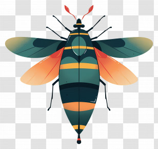 Insect - Colorful Insect With Patterned Wings Transparent PNG
