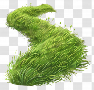 Curved Grass Field - Green Grass Illustration Transparent PNG