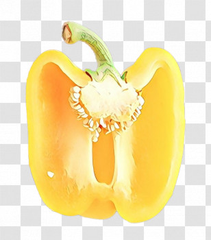 Orange Transparent PNG