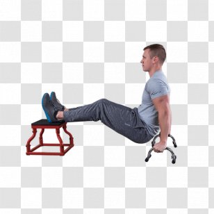 Push-up Physical Fitness Weight Training Shoulder Wrist Pain - Tree - Push Up Transparent PNG