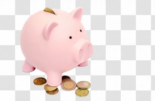 Piggy Bank - Snout - Livestock Animal Figure Transparent PNG