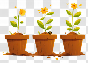 Marigolds Flower In Pot - Cartoon Flower Pots With Blooming Plants Transparent PNG