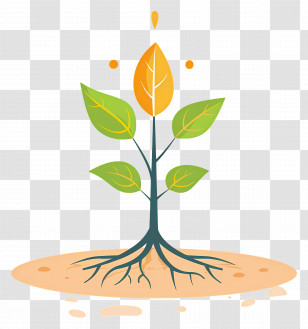 Plant Root - Plant Sprout Illustration With Roots And Leaves Transparent PNG