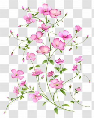 Pink Flowers - Pink Floral Illustration With Green Stems Transparent PNG