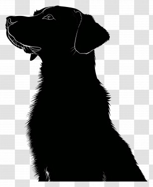 Dog Silhouette - Black Silhouette Of A Dog In Profile Transparent PNG