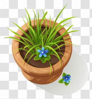 Plants Top View - Illustrated Potted Plant With Blue Flower Transparent PNG