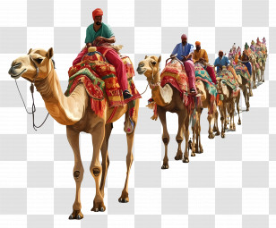 Pushkar Camel Fair - Camel Caravan Illustration With Colorful Riders Transparent PNG