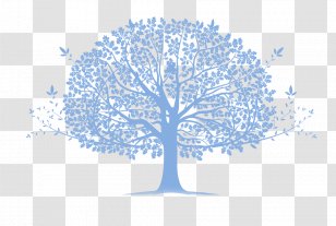 Family Tree Genogram Community Genealogy - Sky Transparent PNG