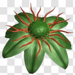 Blog Avatar Petal Flower Transparent PNG