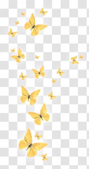 Butterfly Clip Art - Moths And Butterflies - Clipart Picture ...