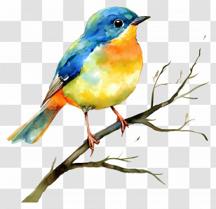 Watercolor Bird - Blue Tit On A Branch Transparent PNG