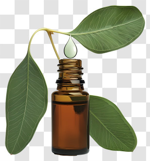 Essential Oil - Essential Oil Bottle With Fresh Leaves Transparent PNG