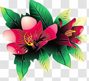 Flower Art Watercolor - Paint - Artificial Lily Family Transparent PNG