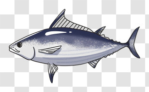 Fish - Blue And Gray Tuna Fish Illustration Transparent PNG