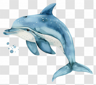 Dolphin - Illustrated Blue Dolphin Transparent PNG