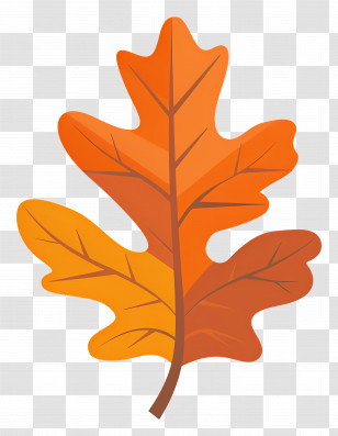 Single Leaf - Orange Autumn Leaf Illustration Transparent PNG