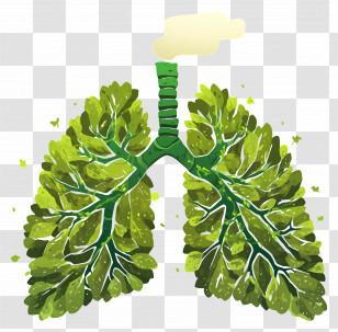 National Pollution Prevention Day - Green Lungs Made Of Leaves Transparent PNG