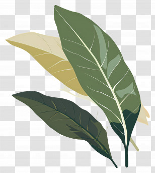 Green Leaf - Various Green Leaves Illustration Transparent PNG