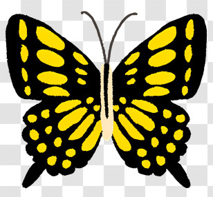 Insect - Yellow And Black Butterfly Illustration Transparent PNG