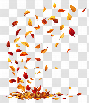 Fluttering Leaves - Autumn Leaves Falling Gracefully Transparent PNG