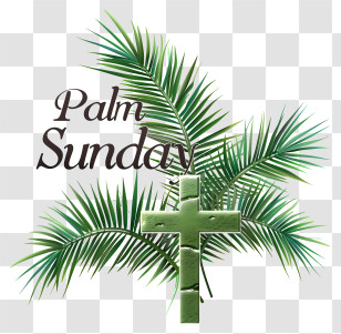 Palm Sunday - Palm Sunday Cross With Green Palm Leaves Transparent PNG