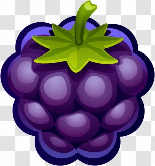 Pie Cartoon - Blueberry - Vitis Plant Transparent PNG
