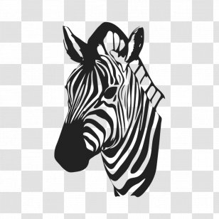 Quagga New Brunswick High School Zebra Product Neck Transparent PNG