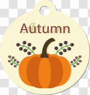 Euclidean Vector Download - Information - Autumn Pumpkin Transparent PNG