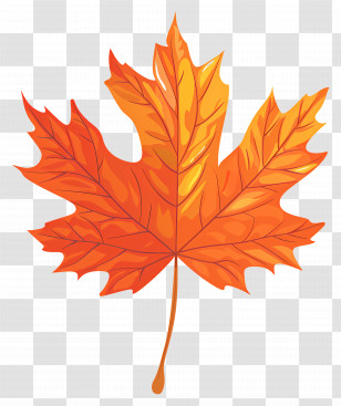 Maple Leaf - Bright Orange Maple Leaf Representing Autumn Transparent PNG