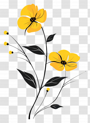 Yellow Flowers - Yellow Wildflowers Botanical Illustration Transparent PNG
