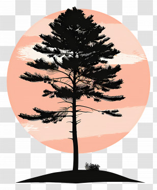 Pine Tree Silhouette - Tree Silhouette At Sunset Transparent PNG