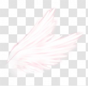 Feather Close-up Pink M Transparent PNG