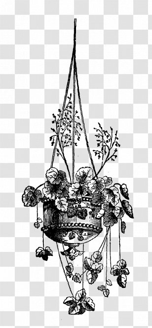 Hanging Basket Plant Drawing Clip Art - Decor - Flower Illustration Transparent PNG