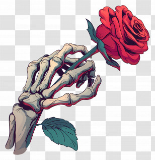 Skeleton Hand Holding Rose - Skeleton Hand Holding A Red Rose Transparent PNG