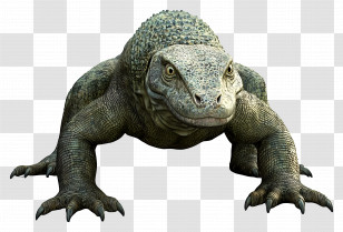 Komodo Dragon - Komodo Dragon Illustration With Scales Transparent PNG