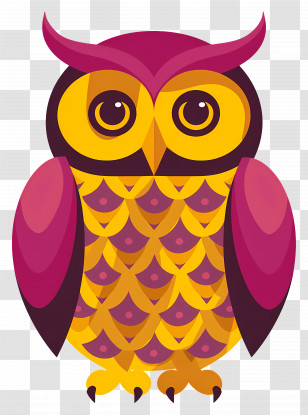Colorful Owl - Colorful Cartoon Owl Transparent PNG