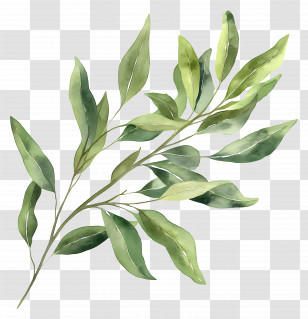 Leaf Painting - Watercolor Green Leaves Illustration Transparent PNG