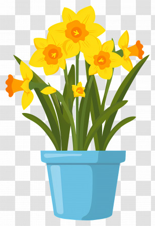Yellow Flowers - Potted Yellow Daffodil Flowers Transparent PNG