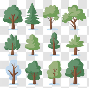 Forest - Cartoon Trees Illustration Collection Transparent PNG