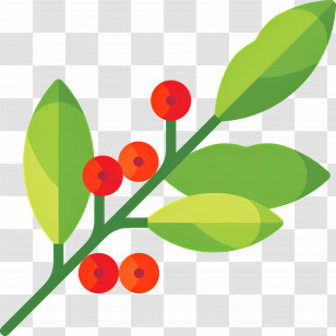 Coffee Plant - Branch With Red Berries Illustration Transparent PNG