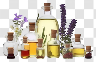Essential Oils - Aesthetic Display Of Essential Oil Bottles With Flowers Transparent PNG