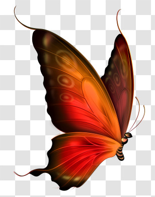 Mariposas - Realistic Red And Orange Butterfly Illustration Transparent PNG