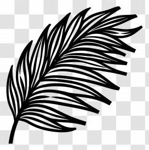 Summer - Black Palm Leaf Silhouette Transparent PNG