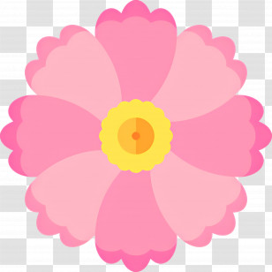 Pink Flower - Pink Flower With Yellow Center Illustration Transparent PNG