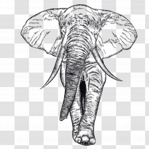 African Elephant Indian Illustration - Elephants And Mammoths - Vector Black Transparent PNG