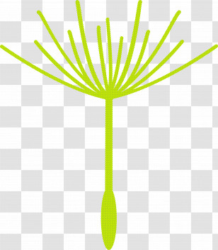 Dandelion Transparent PNG