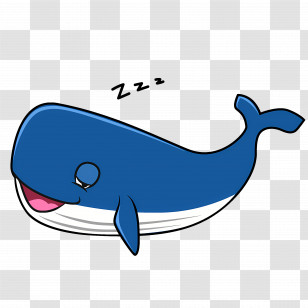 Sleeping Whale - Sleeping Whale Cartoon Transparent PNG